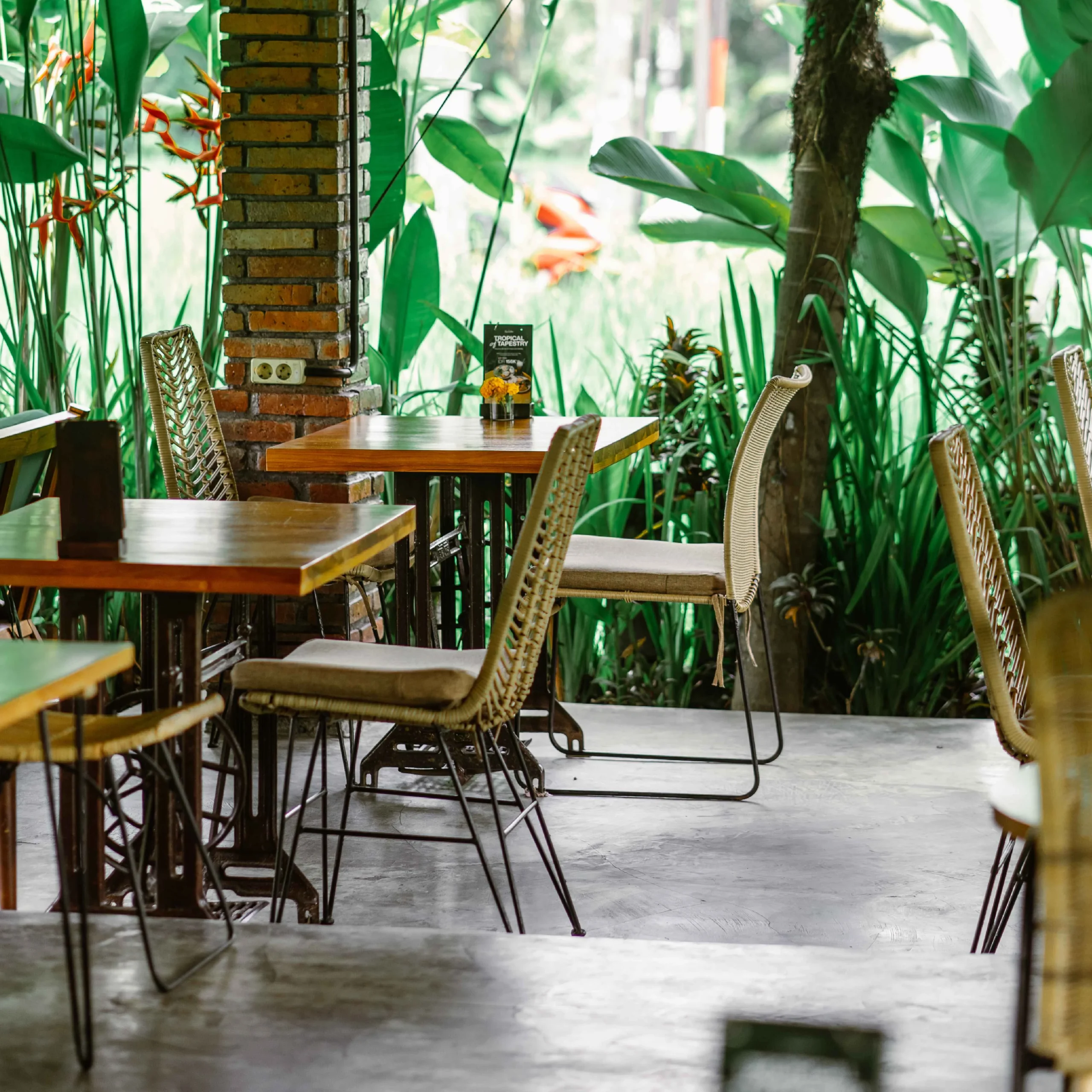 TROPICALANTS-04